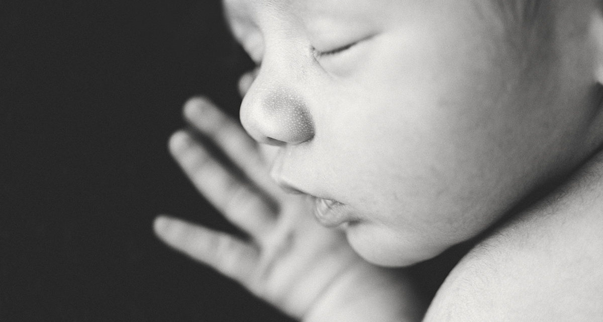 http://www.danijelaphotography.com/wp-content/uploads/2019/02/551A7833-1200x640.jpg